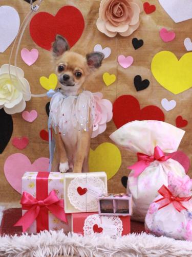 20230219れおくん